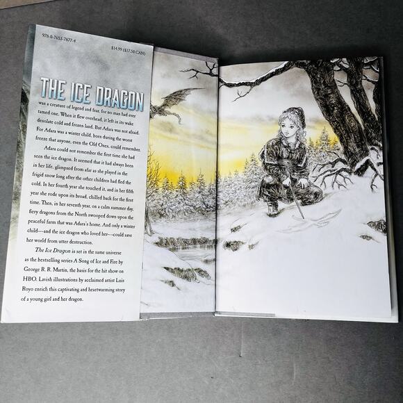 The Ice Dragon by George R R Martin (HCDJ 2014) 1st Tor edition Luis Royo art - Picture 6 of 6